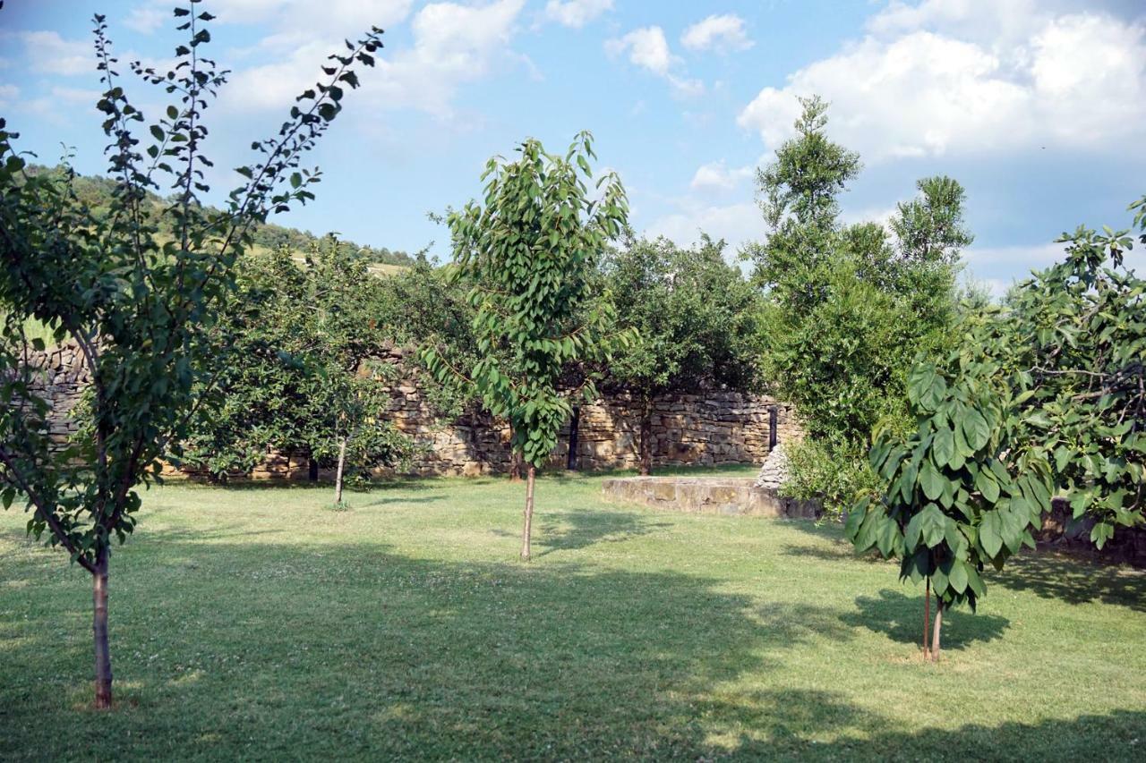 Tourist Farm With Apartments Fig Tree Dekani Kültér fotó